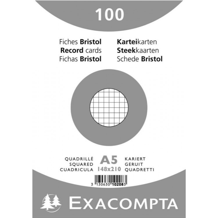 Stock Bureau - EXACOMPTA Paquet 100 fiches Bristol Quadrillé 5x5